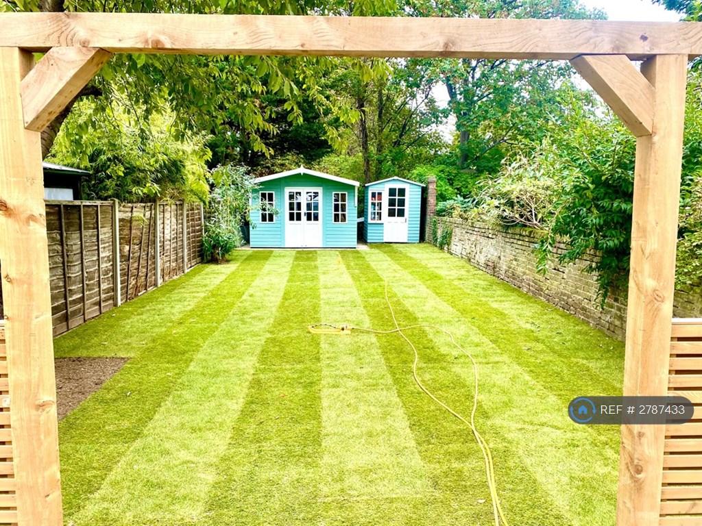 Back Garden