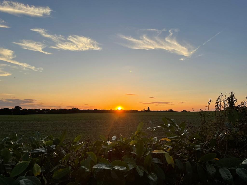 Sunset 2