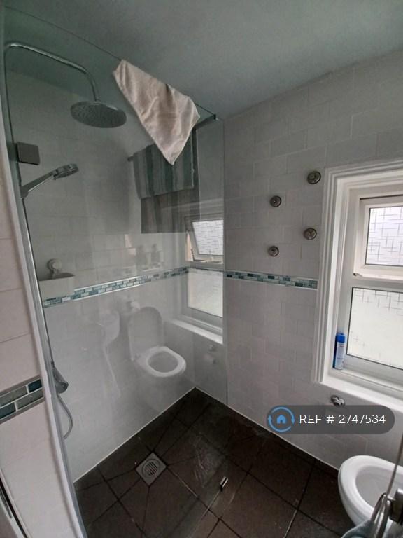 Shower Room (Ground Floor)