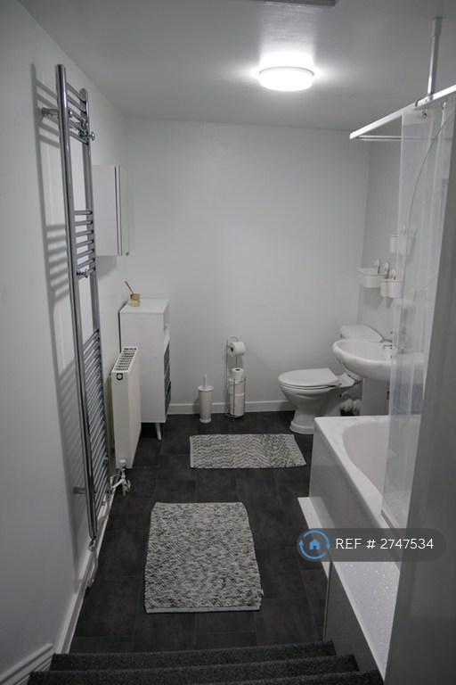 Bathroom (1st Floor)