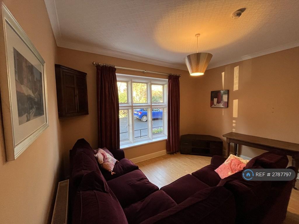 Tv Room