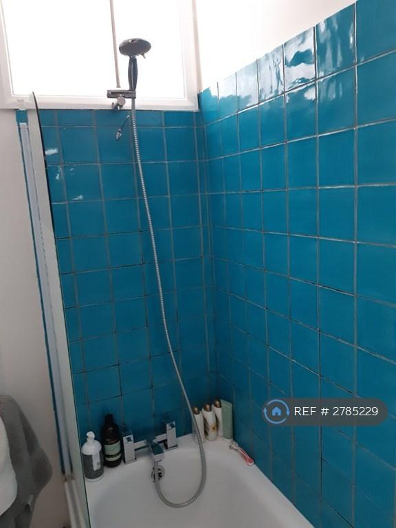 Bath Shower