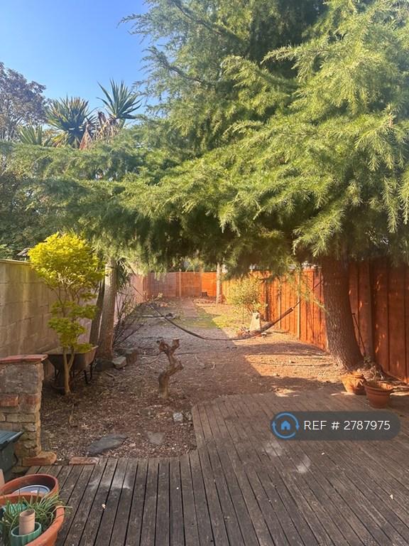 Back Garden