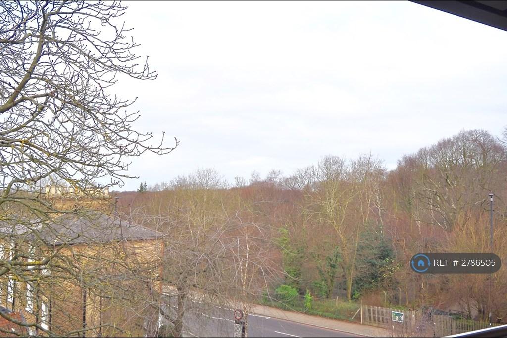 View Highgate Woods