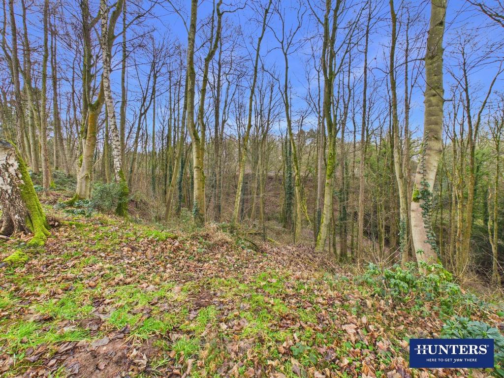 Woodland