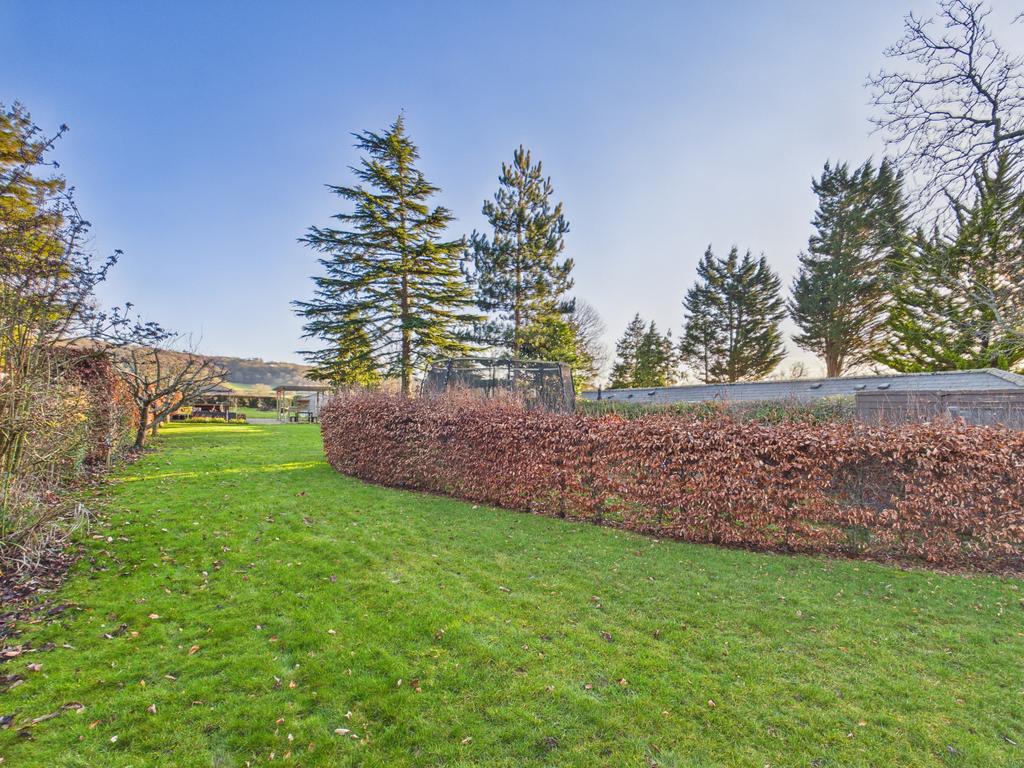 Garden 4