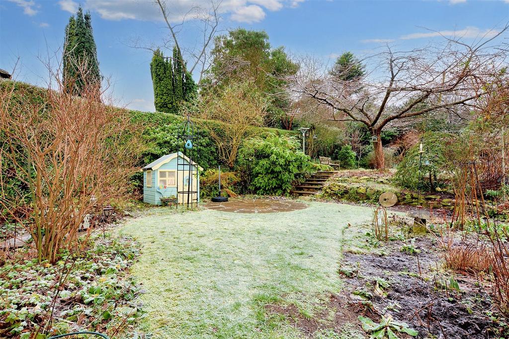 Garden  (1).jpeg
