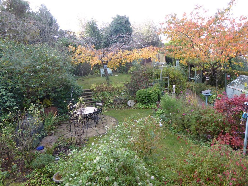 Garden 1 (2020).jpg