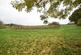 Additional image 3 of Wildmoor Lane, Hook RG27