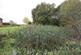 Additional image 5 of Wildmoor Lane, Hook RG27