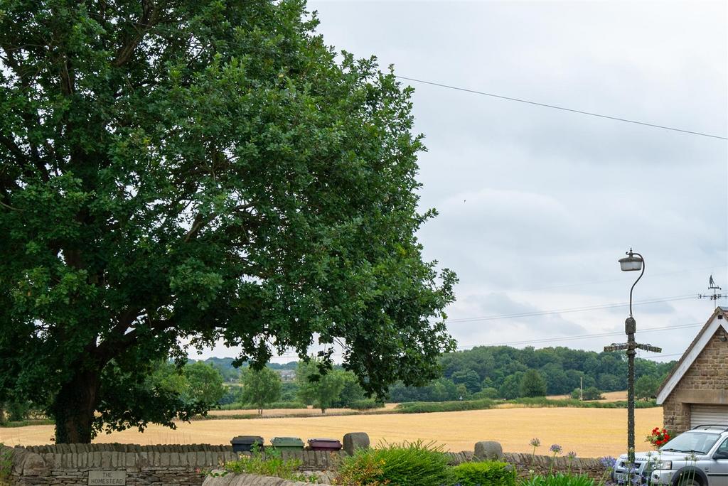 DSC 8662.jpg