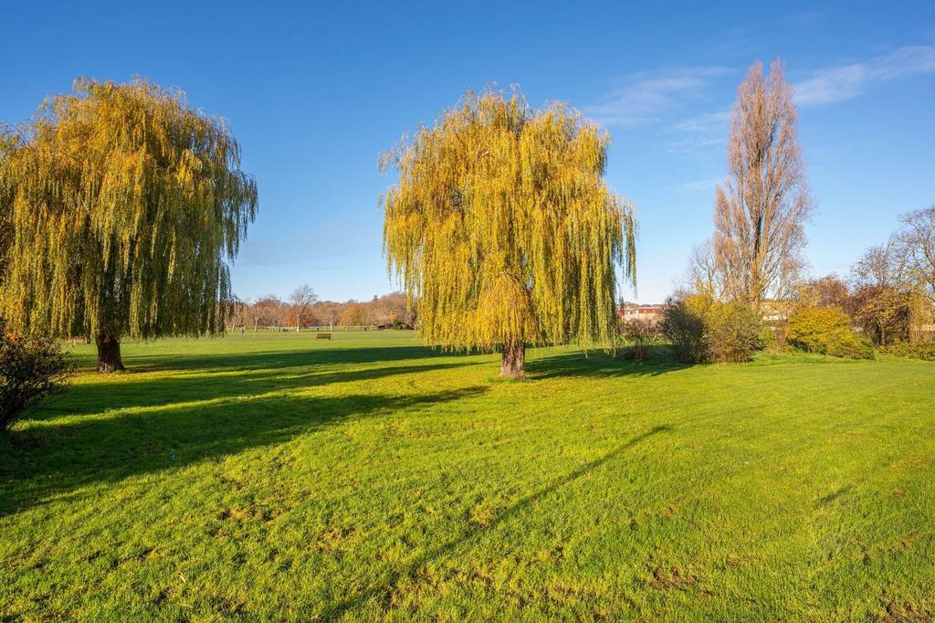 Garden view, garden