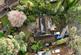 Additional image 31 of Pilford Heath Road, Colehill, BH21 2NA