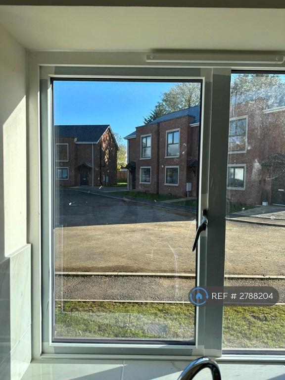 View From The Kitchen