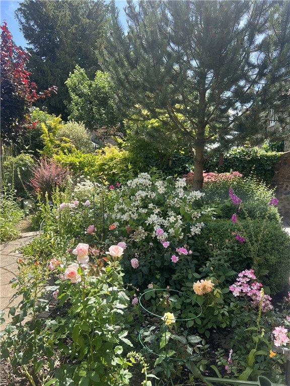 Garden In Summer