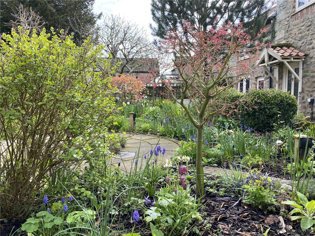 Summer Garden