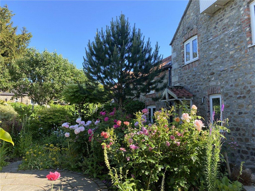 Summer Garden