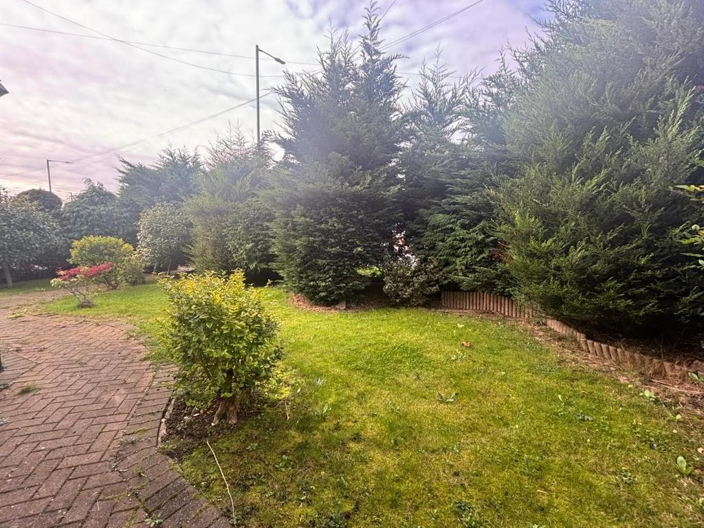 Garden view, garden