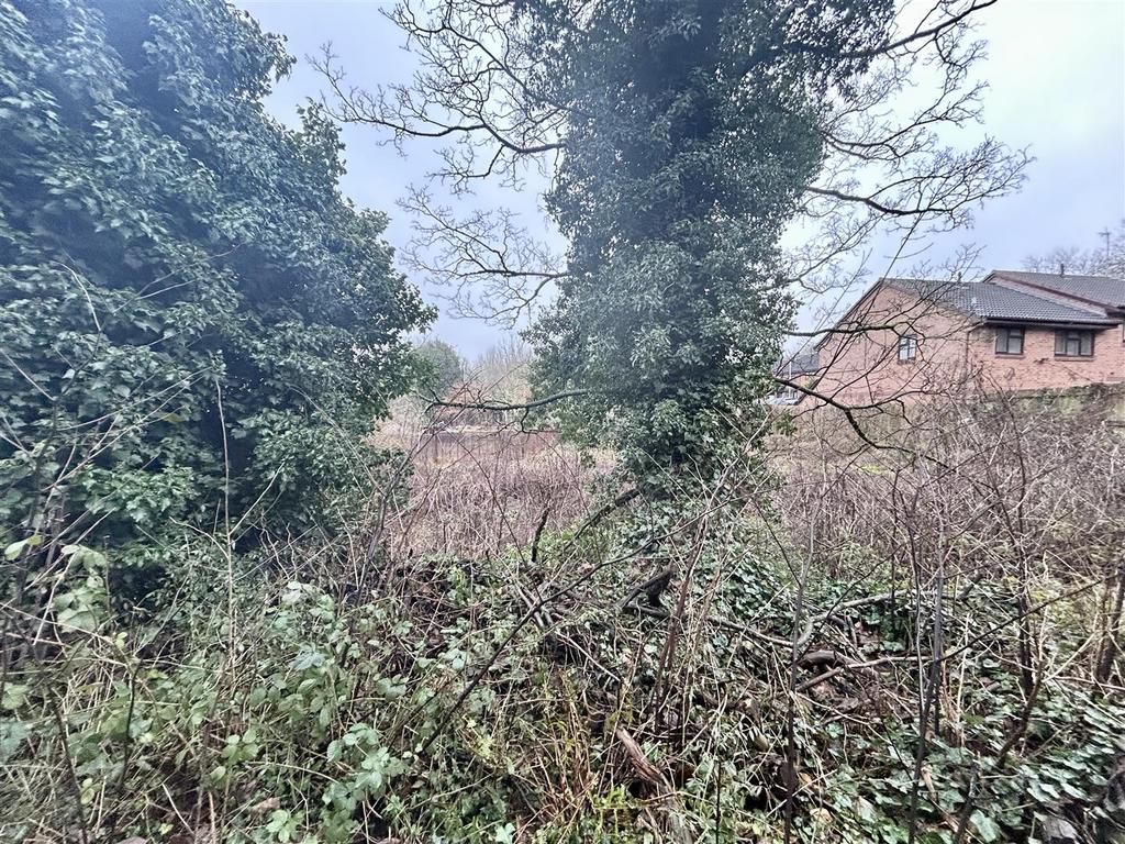 Image00003.jpeg