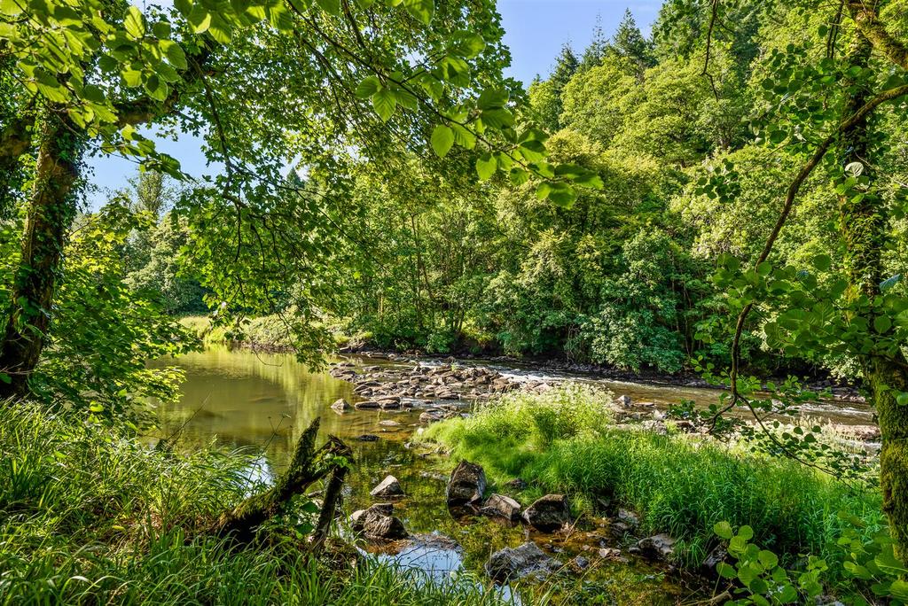 Woodland Riverside