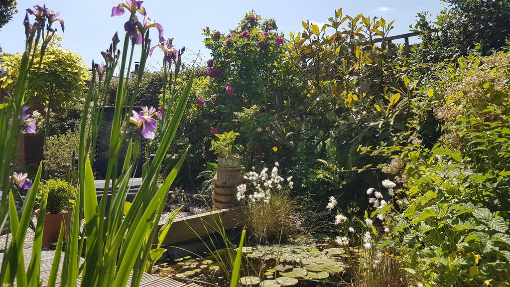 Ornamental Pond in Summer.jpg
