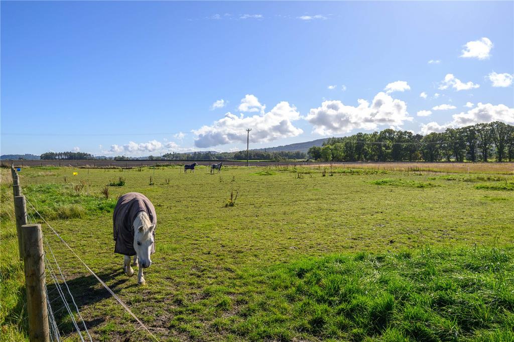 Fields