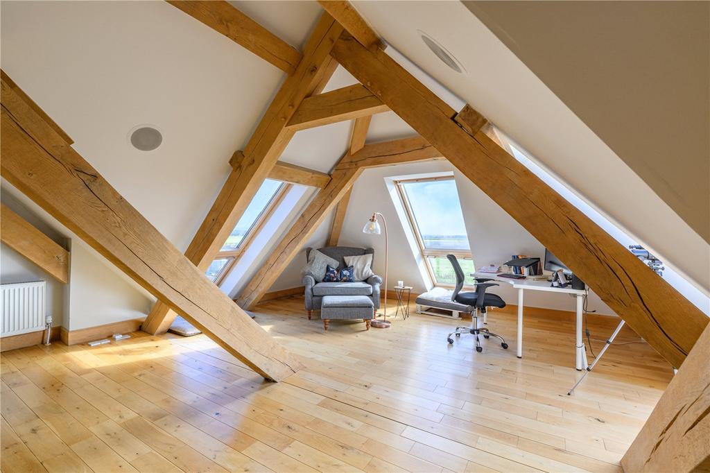 Study Area