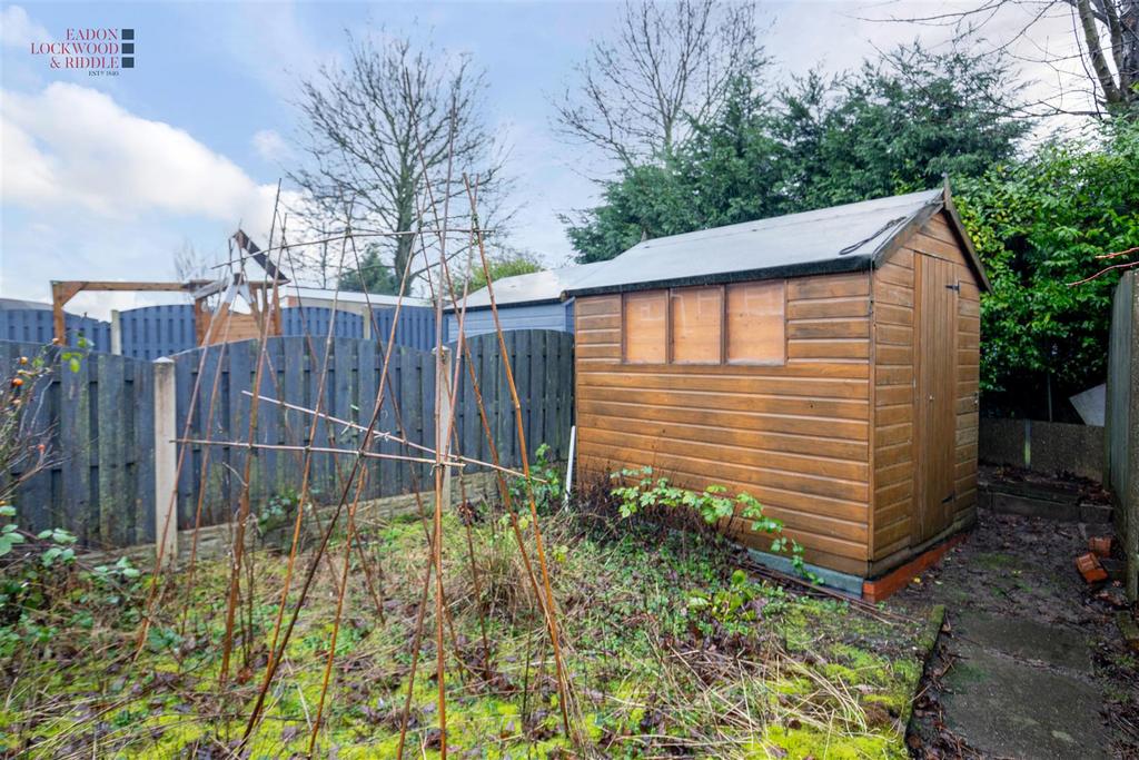 Back garden