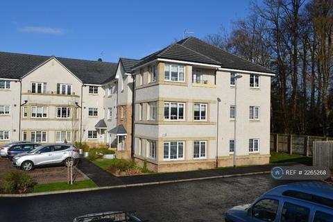 undefined, Dalzell Drive, Motherwell, ML1