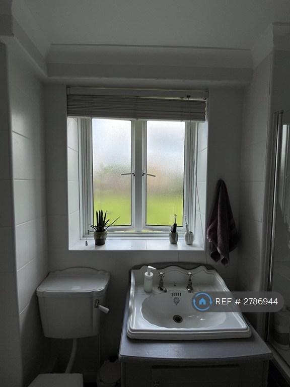 Large Bathroom Windows