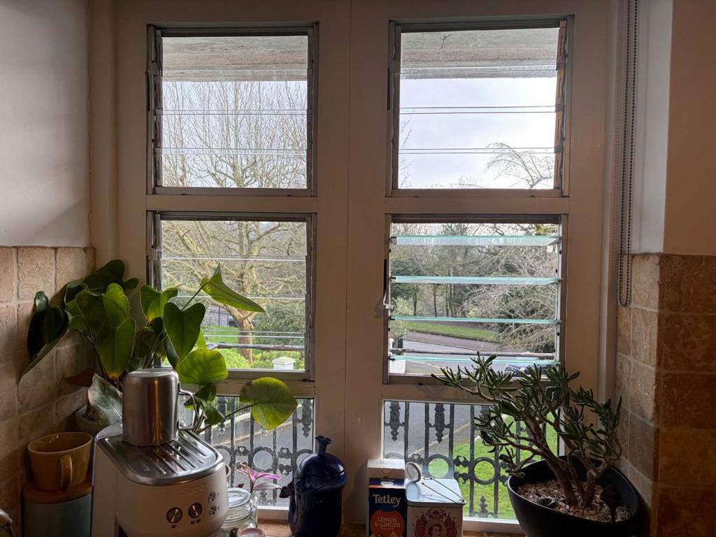 Kitchen View