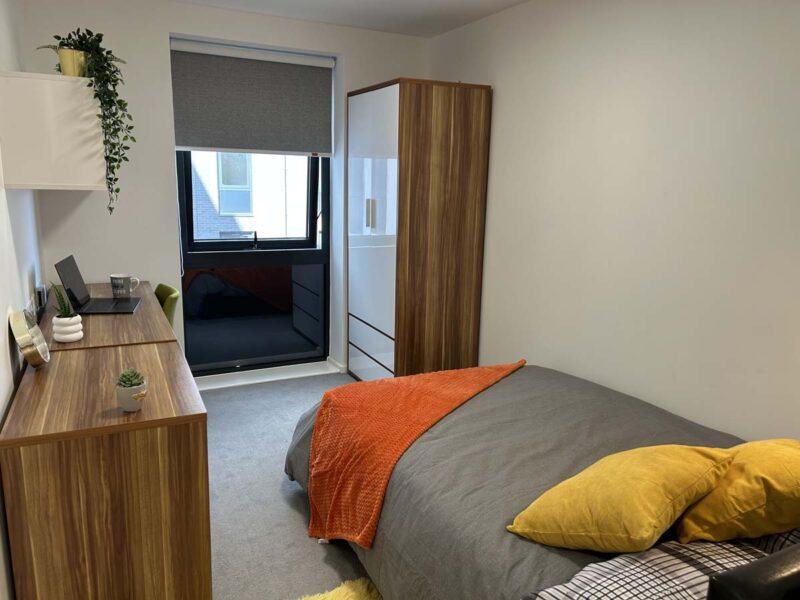 IMG 1254-1-800x600 T202602091409.jpg