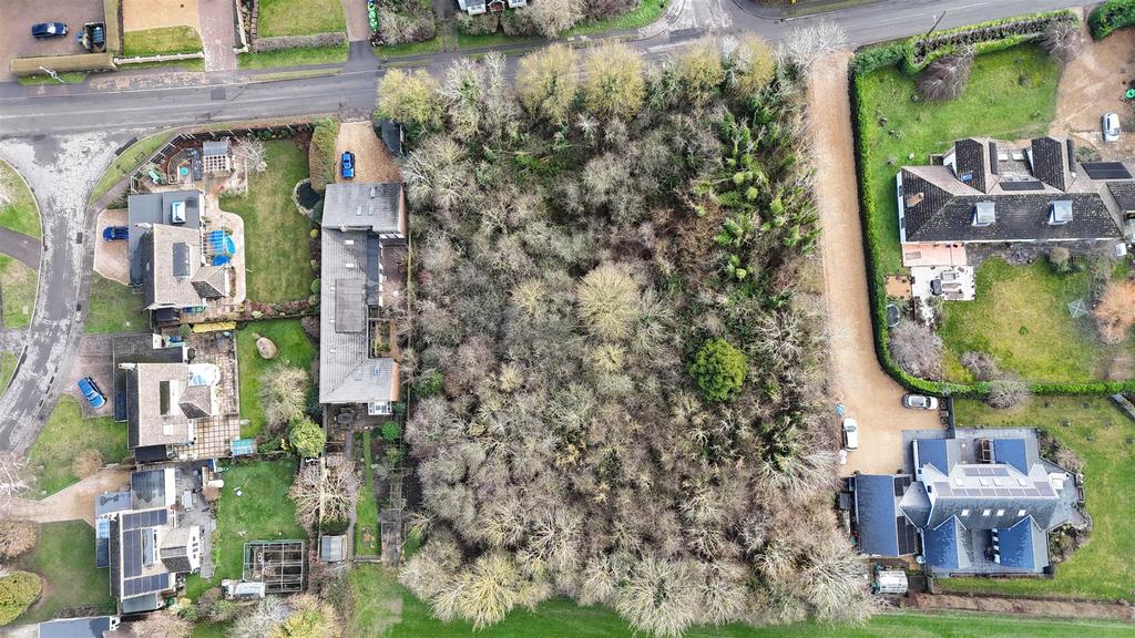 Dji 20260128135303 0027 d.jpg
