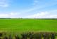 Additional image 23 of Burneston, Bedale, North Yorkshire