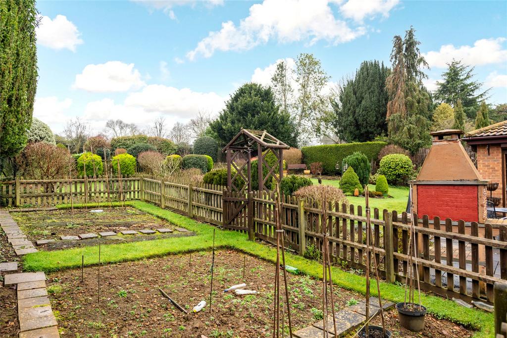 Vegetable Garden
