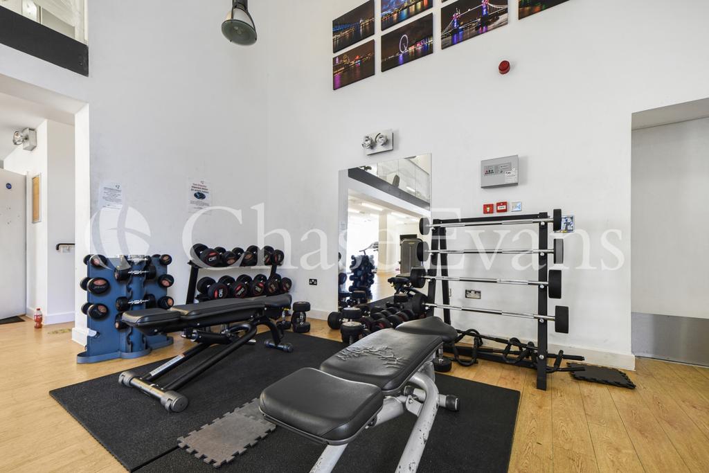Gymnasium