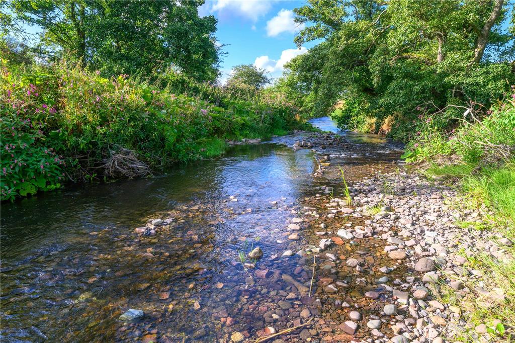 River Dunning