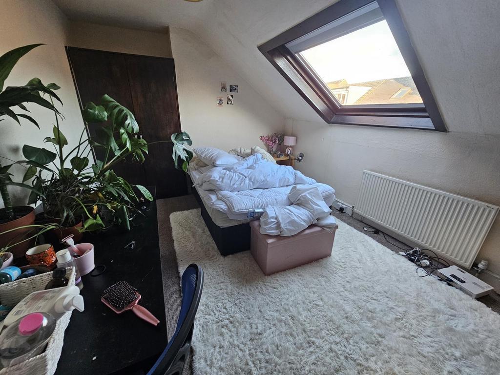 Cozy attic-style single bedroom with a large sk...
