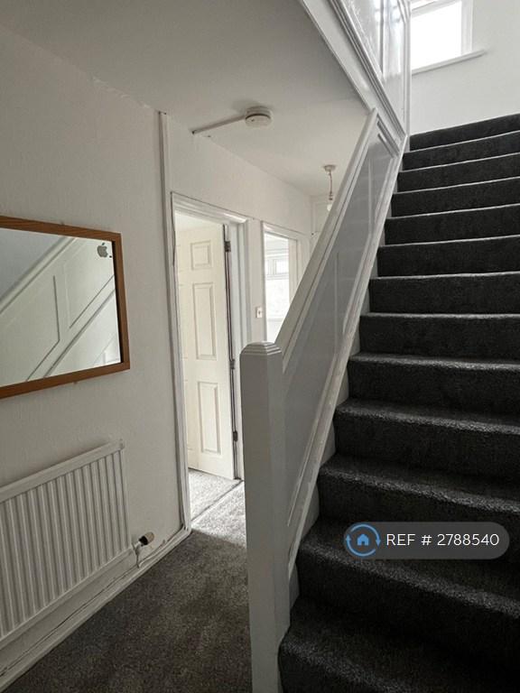 Downstairs Hallway