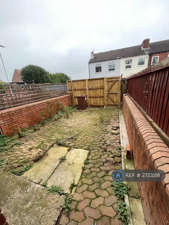 Back Garden
