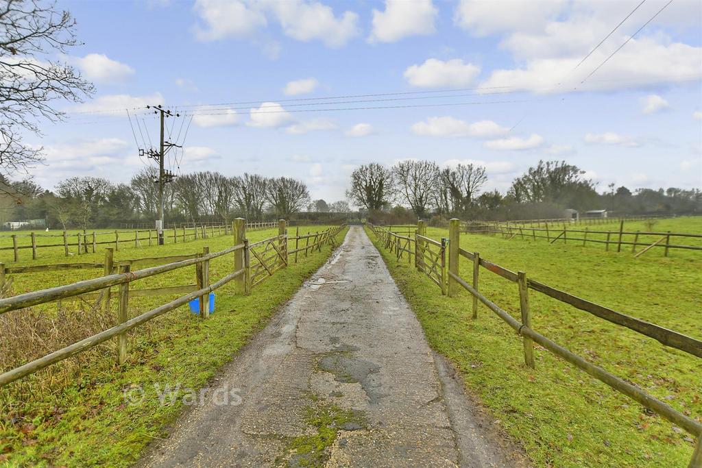 Driveway/Parking