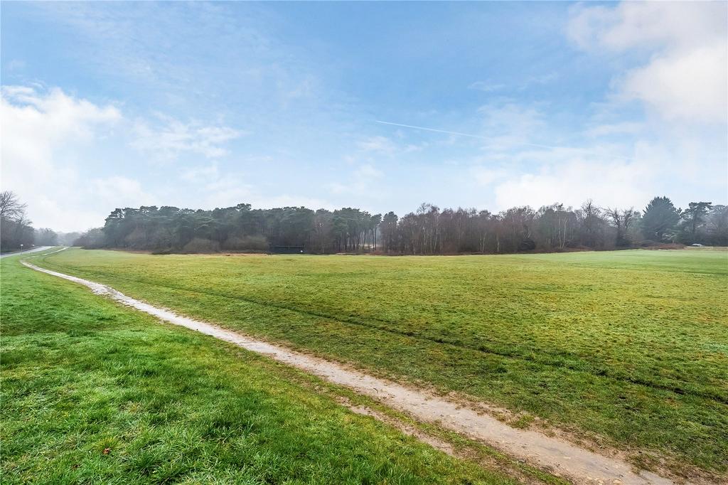 View To The Heath