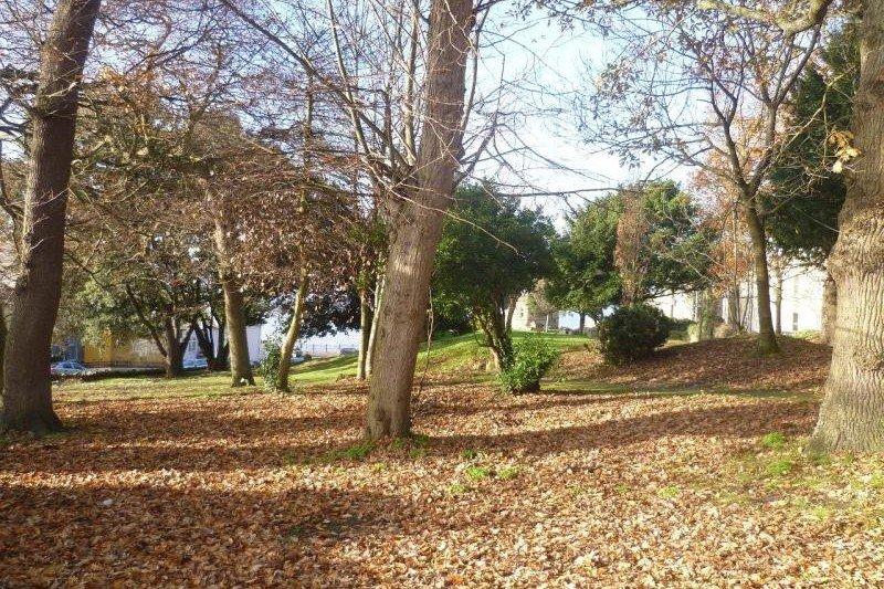 Pier Copse