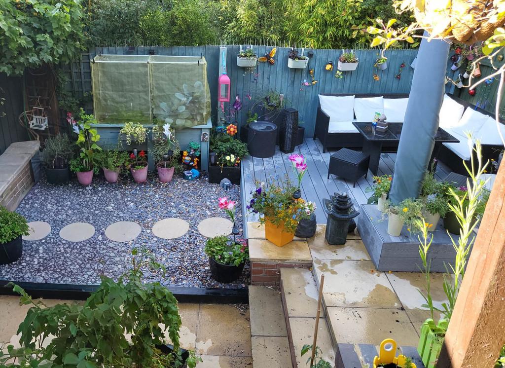 Rear Garden Summer 2025
