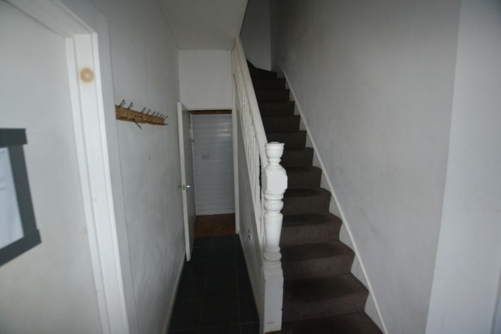 Dsc 0084