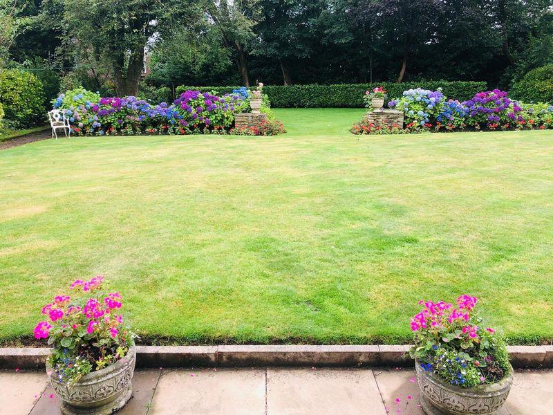 Summer garden