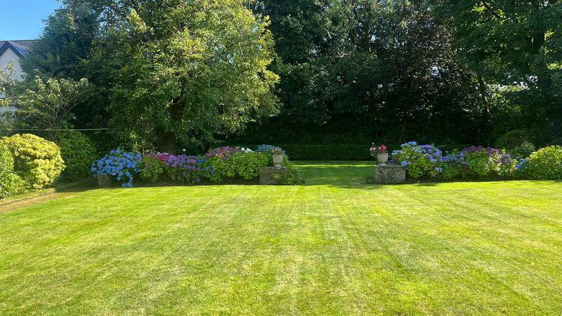 Summer garden
