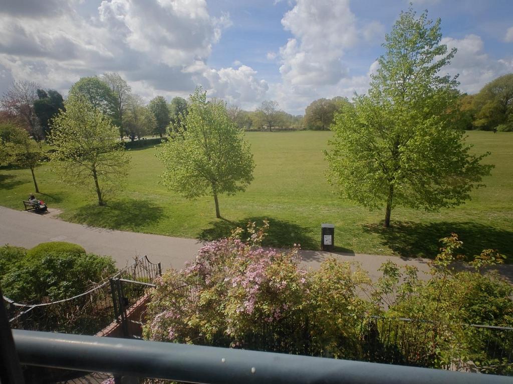 IMG20250422121348.jpg