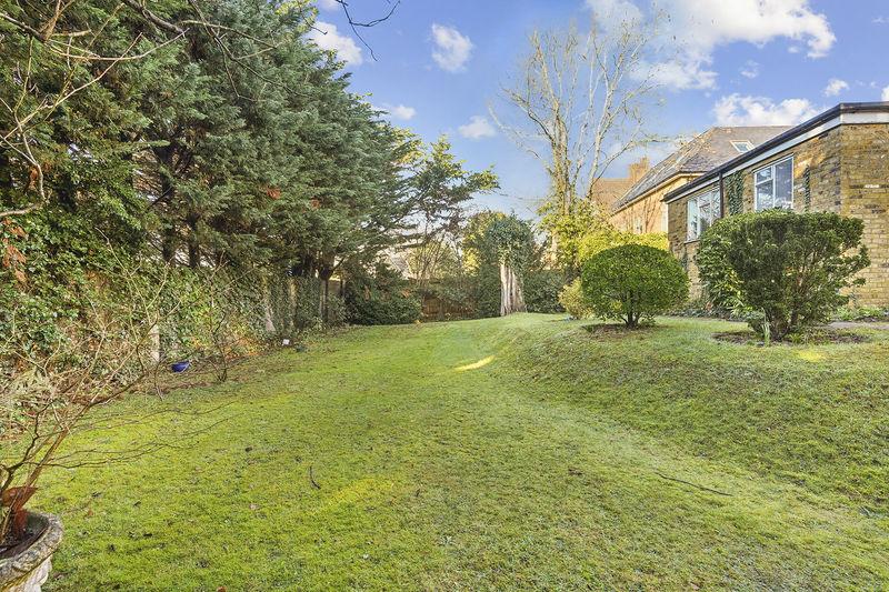 Rear garden 2