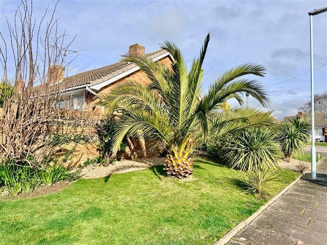 Side Garden
